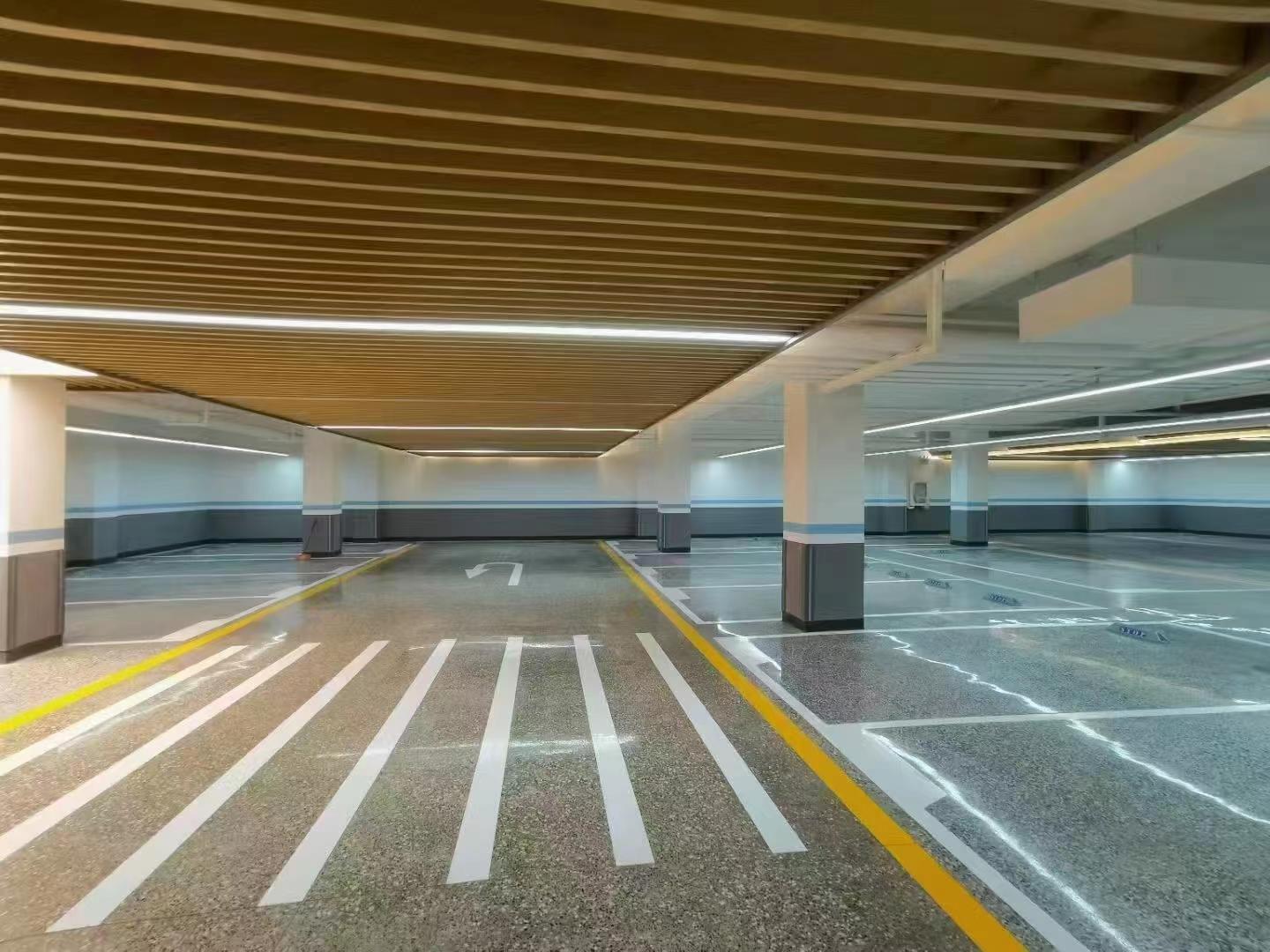 ��ʯ�̻���ƺ